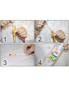 Strisce urine per test visivo Combi screen 9+leuko plus, 9+1 parametri, conf. 100 pezzi