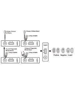 TEST ULCERA - HELICOBACTER PYLORI - professionale conf. 40 pezzi