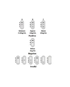 Test PSA professionale 25 pezzi
