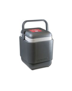 PORTA VACCINI PROFESSIONALE - borsa termica per vaccini