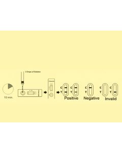 Test clamidia professionale conf. 20 pz-Gima