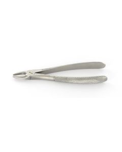 Pinza estrazione radici arcata superiore lung. 17,5cm conf. 1 pezzo