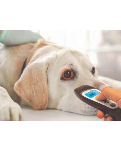 Termometro a distanza veterinaria bluetooth visiofocus conf. 1 pezzo