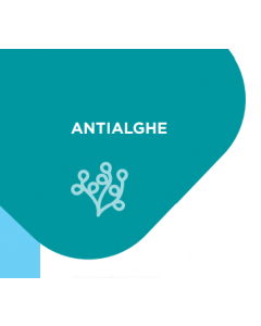 Antialga liquido multifunzione-Dast Algastop Super-10 kg-Chimica D'Agostino