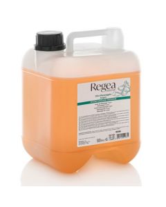 Olio massaggio argan Fisio 5 litri Xanitalia