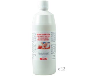 Sapone Liquido Antisettico per la Disinfezione della Mani e della Cute  Dermosept, Flacone da 1000 ml