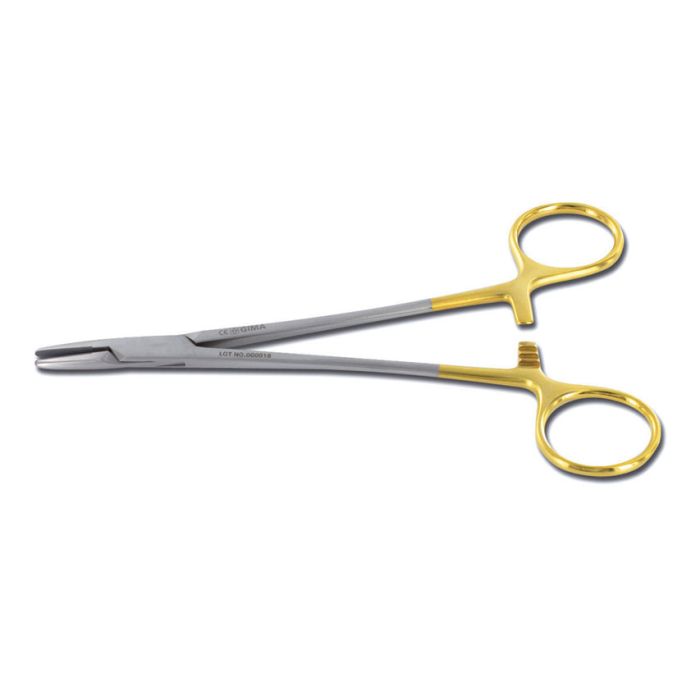 PORTA AGHI MAYO HEGAR IN TUSGTENO 26 cm Gima