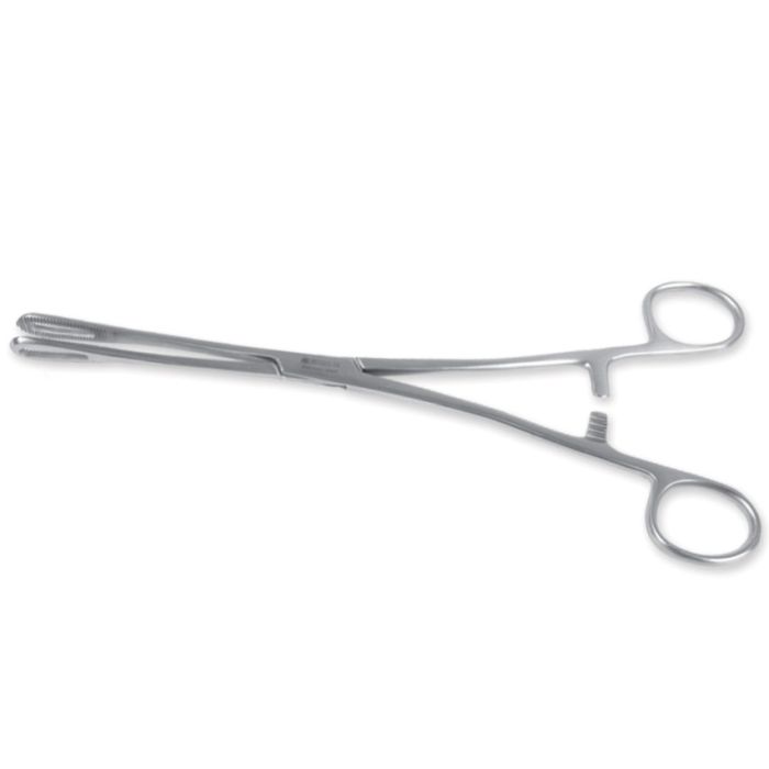 PINZA RAMPLEY CHIRURGICA in acciaio inox misura 24 cm 