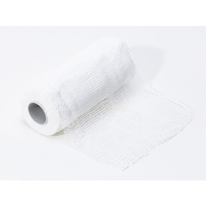 Benda Ossido di Zinco Previzinc "A" 10x500 cm conf. 10 pz Gima