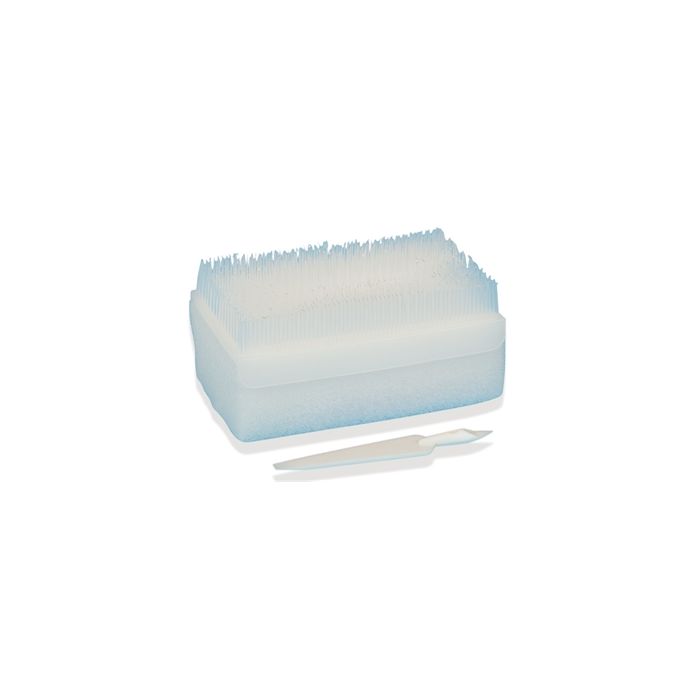 Spazzolino disinfettante chirurgico monouso-Core Scrub D