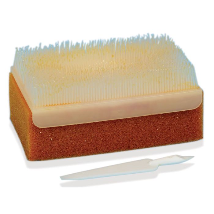 COREMEC Spazzolini chirurgici core scrub allo Iodopovidone Conf. 30 pz