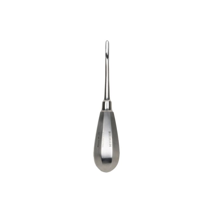 Leva per radici bein acciaio inox, 4 mm conf. 1 pezzo