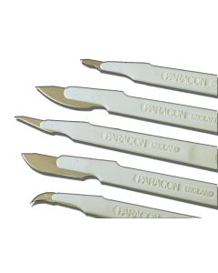 BISTURI PARAGON N.22 - monouso sterili conf. 10 pezzi