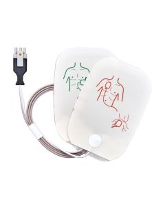 SAVE PADS+CAVO-in >8 anni per 33384/5 fino a S.N. 738XXXXXXX 