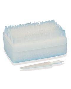 Spazzolino disinfettante chirurgico monouso-Core Scrub D