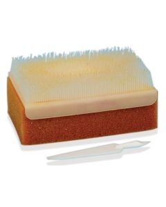 COREMEC Spazzolini chirurgici core scrub allo Iodopovidone Conf. 30 pz