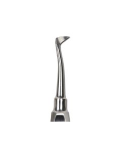 Leva seldin per radici destre, acciaio inox conf. 1 pezzo