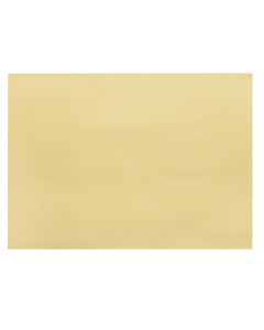 Tovaglietta 30 x 40 cm 1 velo crema confezione 250 pezzi Infibra